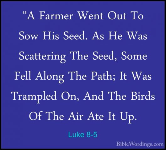 Luke 8-5 - "A Farmer Went Out To Sow His Seed. As He Was Scatteri"A Farmer Went Out To Sow His Seed. As He Was Scattering The Seed, Some Fell Along The Path; It Was Trampled On, And The Birds Of The Air Ate It Up. 