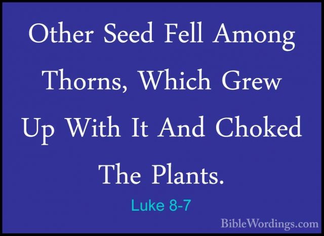 Luke 8-7 - Other Seed Fell Among Thorns, Which Grew Up With It AnOther Seed Fell Among Thorns, Which Grew Up With It And Choked The Plants. 