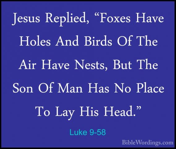 Luke 9-58 - Jesus Replied, "Foxes Have Holes And Birds Of The AirJesus Replied, "Foxes Have Holes And Birds Of The Air Have Nests, But The Son Of Man Has No Place To Lay His Head." 