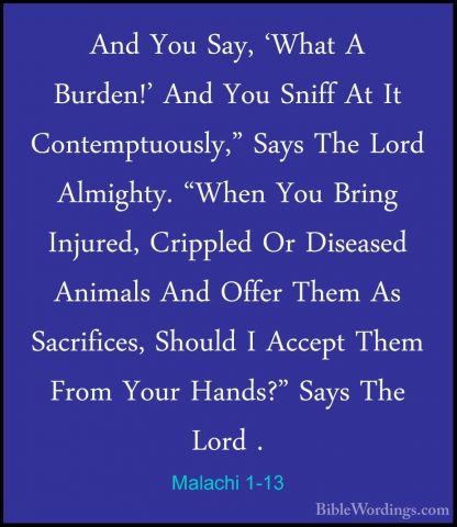 Malachi 1-13 - And You Say, 'What A Burden!' And You Sniff At ItAnd You Say, 'What A Burden!' And You Sniff At It Contemptuously," Says The Lord Almighty. "When You Bring Injured, Crippled Or Diseased Animals And Offer Them As Sacrifices, Should I Accept Them From Your Hands?" Says The Lord . 