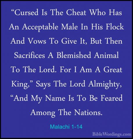Malachi 1-14 - "Cursed Is The Cheat Who Has An Acceptable Male In"Cursed Is The Cheat Who Has An Acceptable Male In His Flock And Vows To Give It, But Then Sacrifices A Blemished Animal To The Lord. For I Am A Great King," Says The Lord Almighty, "And My Name Is To Be Feared Among The Nations.