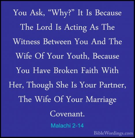 Malachi 2-14 - You Ask, "Why?" It Is Because The Lord Is Acting AYou Ask, "Why?" It Is Because The Lord Is Acting As The Witness Between You And The Wife Of Your Youth, Because You Have Broken Faith With Her, Though She Is Your Partner, The Wife Of Your Marriage Covenant. 