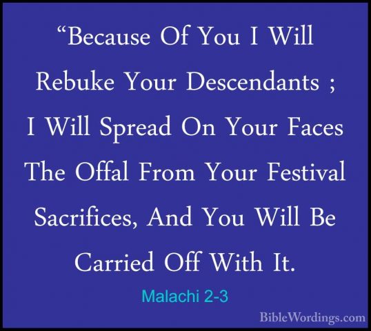 Malachi 2-3 - "Because Of You I Will Rebuke Your Descendants ; I"Because Of You I Will Rebuke Your Descendants ; I Will Spread On Your Faces The Offal From Your Festival Sacrifices, And You Will Be Carried Off With It. 
