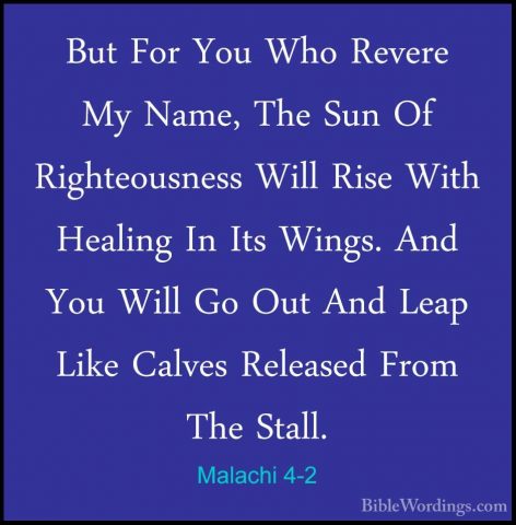 Malachi 4-2 - But For You Who Revere My Name, The Sun Of RighteouBut For You Who Revere My Name, The Sun Of Righteousness Will Rise With Healing In Its Wings. And You Will Go Out And Leap Like Calves Released From The Stall. 
