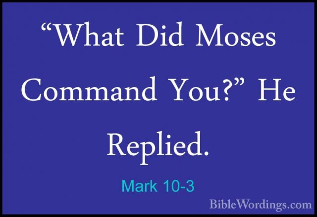 Mark 10-3 - "What Did Moses Command You?" He Replied."What Did Moses Command You?" He Replied. 
