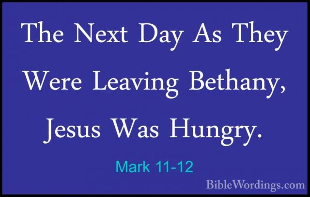 Mark 11-12 - The Next Day As They Were Leaving Bethany, Jesus WasThe Next Day As They Were Leaving Bethany, Jesus Was Hungry. 