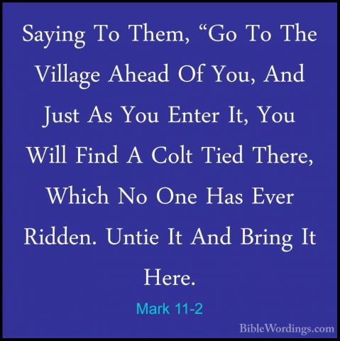 Mark 11-2 - Saying To Them, "Go To The Village Ahead Of You, AndSaying To Them, "Go To The Village Ahead Of You, And Just As You Enter It, You Will Find A Colt Tied There, Which No One Has Ever Ridden. Untie It And Bring It Here. 