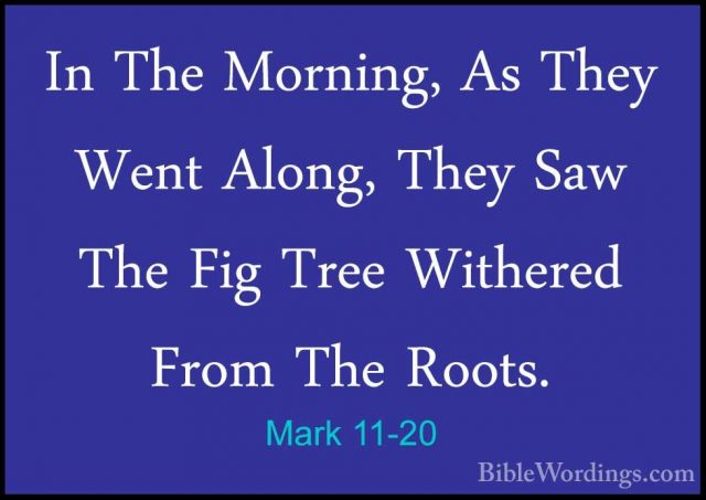 Mark 11-20 - In The Morning, As They Went Along, They Saw The FigIn The Morning, As They Went Along, They Saw The Fig Tree Withered From The Roots. 