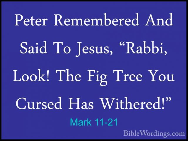 Mark 11-21 - Peter Remembered And Said To Jesus, "Rabbi, Look! ThPeter Remembered And Said To Jesus, "Rabbi, Look! The Fig Tree You Cursed Has Withered!" 