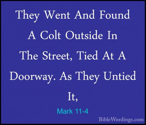 Mark 11-4 - They Went And Found A Colt Outside In The Street, TieThey Went And Found A Colt Outside In The Street, Tied At A Doorway. As They Untied It, 