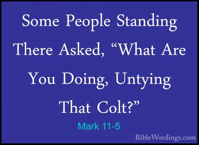 Mark 11-5 - Some People Standing There Asked, "What Are You DoingSome People Standing There Asked, "What Are You Doing, Untying That Colt?" 