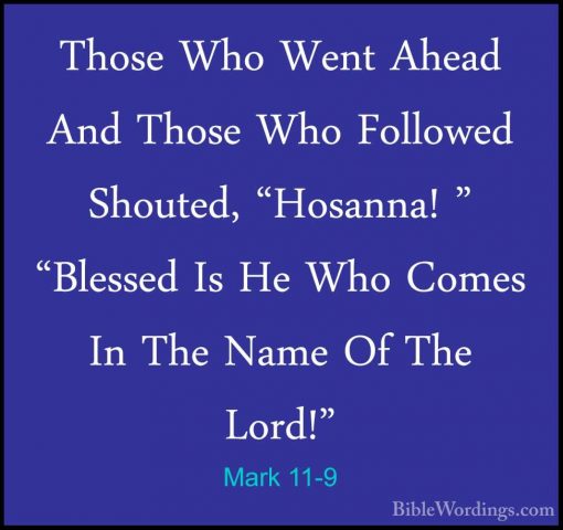 Mark 11-9 - Those Who Went Ahead And Those Who Followed Shouted,Those Who Went Ahead And Those Who Followed Shouted, "Hosanna! " "Blessed Is He Who Comes In The Name Of The Lord!" 