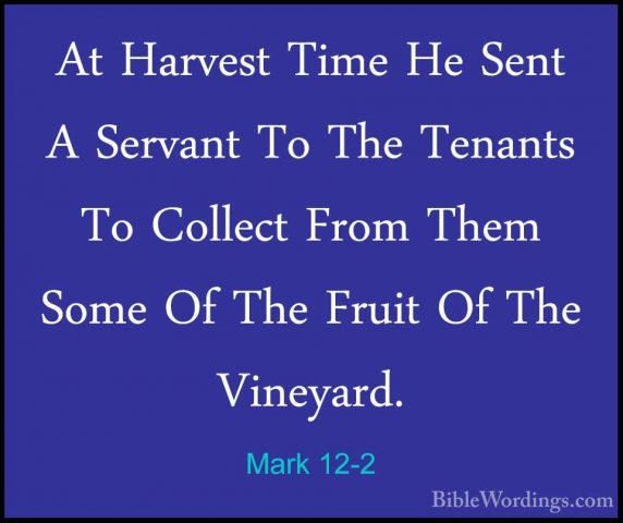 Mark 12-2 - At Harvest Time He Sent A Servant To The Tenants To CAt Harvest Time He Sent A Servant To The Tenants To Collect From Them Some Of The Fruit Of The Vineyard. 