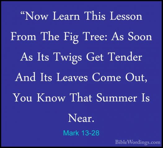 Mark 13-28 - "Now Learn This Lesson From The Fig Tree: As Soon As"Now Learn This Lesson From The Fig Tree: As Soon As Its Twigs Get Tender And Its Leaves Come Out, You Know That Summer Is Near. 