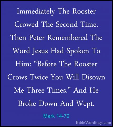 Mark 14-72 - Immediately The Rooster Crowed The Second Time. ThenImmediately The Rooster Crowed The Second Time. Then Peter Remembered The Word Jesus Had Spoken To Him: "Before The Rooster Crows Twice You Will Disown Me Three Times." And He Broke Down And Wept.