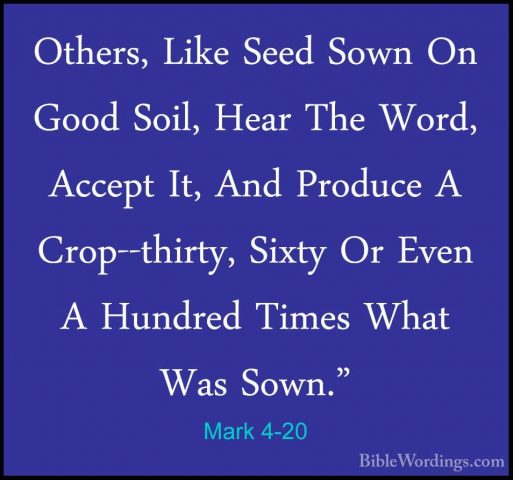 Mark 4-20 - Others, Like Seed Sown On Good Soil, Hear The Word, AOthers, Like Seed Sown On Good Soil, Hear The Word, Accept It, And Produce A Crop--thirty, Sixty Or Even A Hundred Times What Was Sown." 
