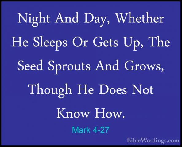 Mark 4-27 - Night And Day, Whether He Sleeps Or Gets Up, The SeedNight And Day, Whether He Sleeps Or Gets Up, The Seed Sprouts And Grows, Though He Does Not Know How. 