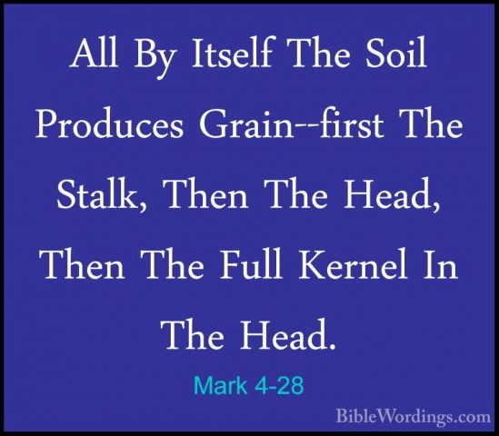 Mark 4-28 - All By Itself The Soil Produces Grain--first The StalAll By Itself The Soil Produces Grain--first The Stalk, Then The Head, Then The Full Kernel In The Head. 