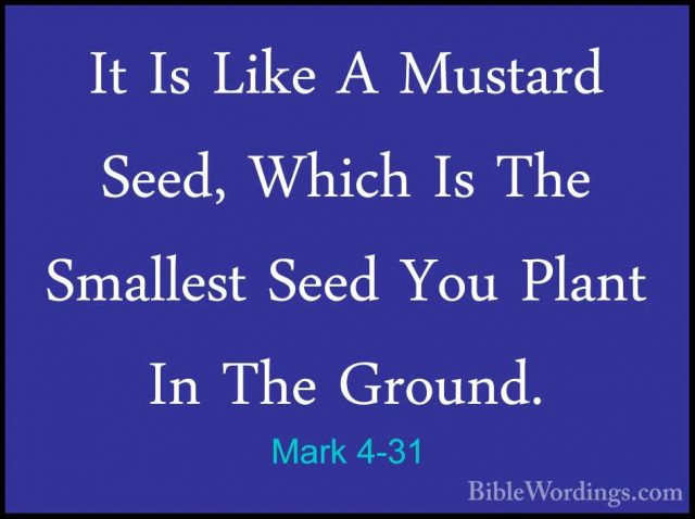 Mark 4-31 - It Is Like A Mustard Seed, Which Is The Smallest SeedIt Is Like A Mustard Seed, Which Is The Smallest Seed You Plant In The Ground. 