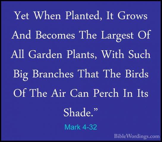 Mark 4-32 - Yet When Planted, It Grows And Becomes The Largest OfYet When Planted, It Grows And Becomes The Largest Of All Garden Plants, With Such Big Branches That The Birds Of The Air Can Perch In Its Shade." 