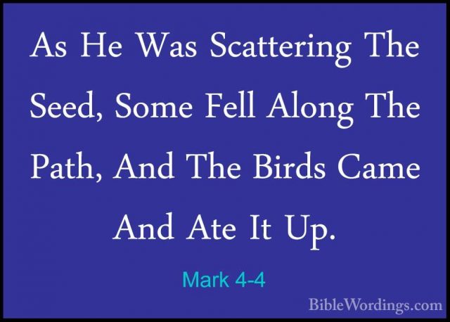 Mark 4-4 - As He Was Scattering The Seed, Some Fell Along The PatAs He Was Scattering The Seed, Some Fell Along The Path, And The Birds Came And Ate It Up. 