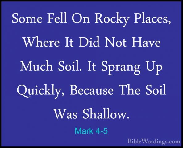 Mark 4-5 - Some Fell On Rocky Places, Where It Did Not Have MuchSome Fell On Rocky Places, Where It Did Not Have Much Soil. It Sprang Up Quickly, Because The Soil Was Shallow. 