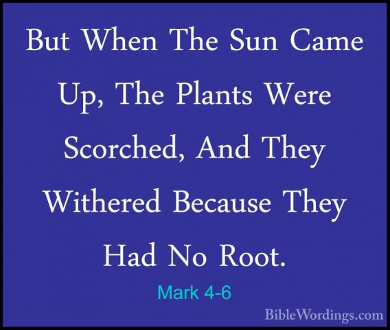 Mark 4-6 - But When The Sun Came Up, The Plants Were Scorched, AnBut When The Sun Came Up, The Plants Were Scorched, And They Withered Because They Had No Root. 
