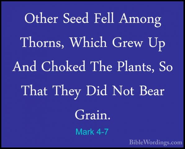 Mark 4-7 - Other Seed Fell Among Thorns, Which Grew Up And ChokedOther Seed Fell Among Thorns, Which Grew Up And Choked The Plants, So That They Did Not Bear Grain. 