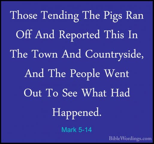 Mark 5-14 - Those Tending The Pigs Ran Off And Reported This In TThose Tending The Pigs Ran Off And Reported This In The Town And Countryside, And The People Went Out To See What Had Happened. 