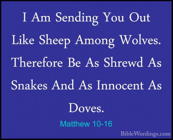 Matthew 10-16 - I Am Sending You Out Like Sheep Among Wolves. TheI Am Sending You Out Like Sheep Among Wolves. Therefore Be As Shrewd As Snakes And As Innocent As Doves. 