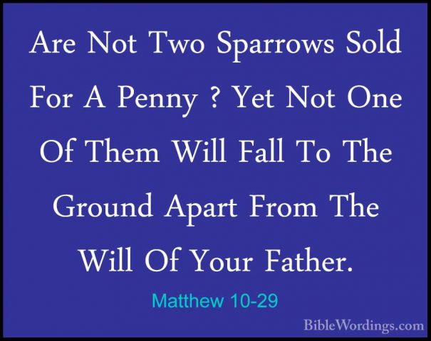 Matthew 10-29 - Are Not Two Sparrows Sold For A Penny ? Yet Not OAre Not Two Sparrows Sold For A Penny ? Yet Not One Of Them Will Fall To The Ground Apart From The Will Of Your Father. 