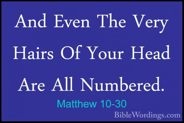 Matthew 10-30 - And Even The Very Hairs Of Your Head Are All NumbAnd Even The Very Hairs Of Your Head Are All Numbered. 