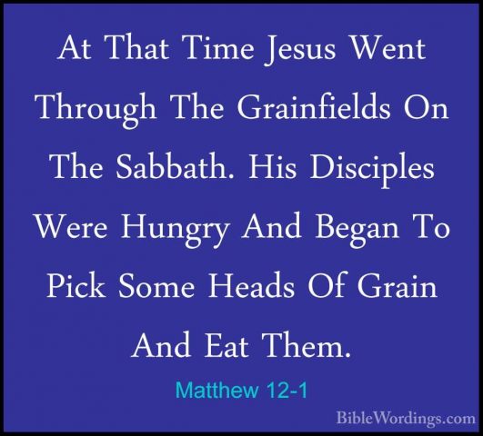 Matthew 12-1 - At That Time Jesus Went Through The Grainfields OnAt That Time Jesus Went Through The Grainfields On The Sabbath. His Disciples Were Hungry And Began To Pick Some Heads Of Grain And Eat Them. 