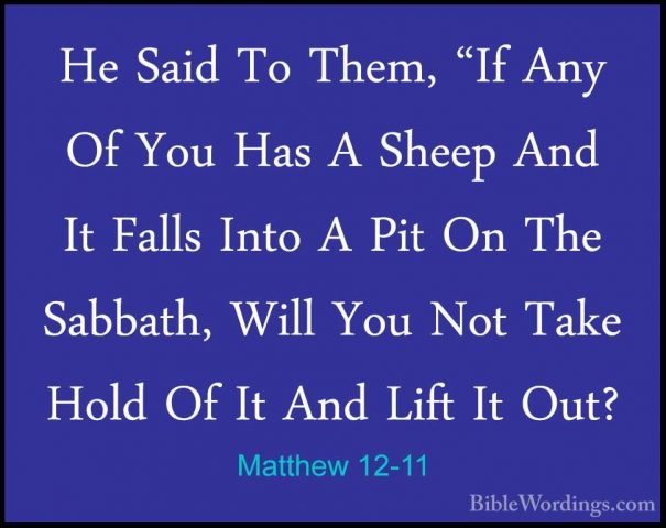 Matthew 12-11 - He Said To Them, "If Any Of You Has A Sheep And IHe Said To Them, "If Any Of You Has A Sheep And It Falls Into A Pit On The Sabbath, Will You Not Take Hold Of It And Lift It Out? 