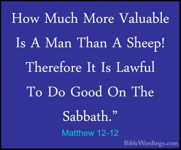 Matthew 12-12 - How Much More Valuable Is A Man Than A Sheep! TheHow Much More Valuable Is A Man Than A Sheep! Therefore It Is Lawful To Do Good On The Sabbath." 