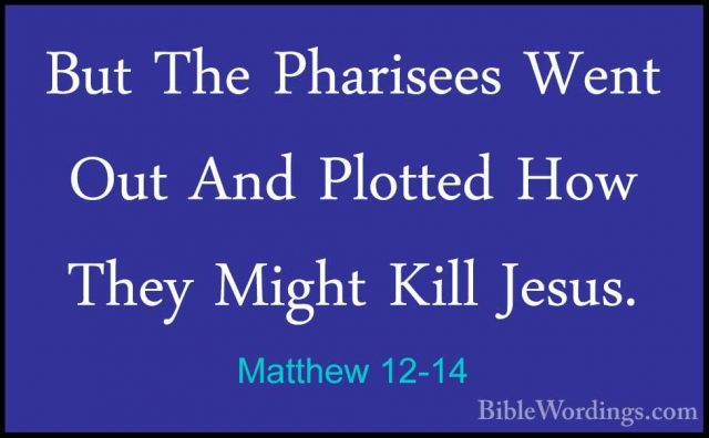Matthew 12-14 - But The Pharisees Went Out And Plotted How They MBut The Pharisees Went Out And Plotted How They Might Kill Jesus. 
