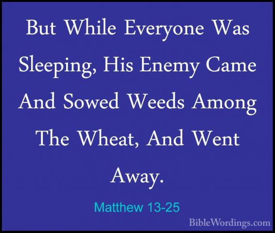 Matthew 13-25 - But While Everyone Was Sleeping, His Enemy Came ABut While Everyone Was Sleeping, His Enemy Came And Sowed Weeds Among The Wheat, And Went Away. 