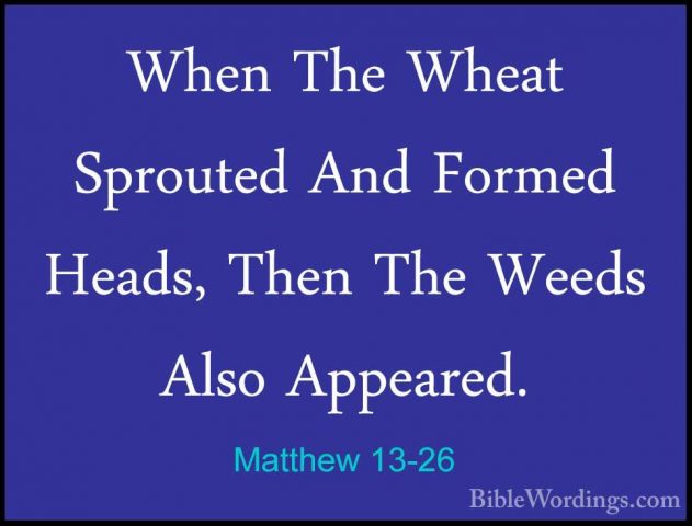 Matthew 13-26 - When The Wheat Sprouted And Formed Heads, Then ThWhen The Wheat Sprouted And Formed Heads, Then The Weeds Also Appeared. 