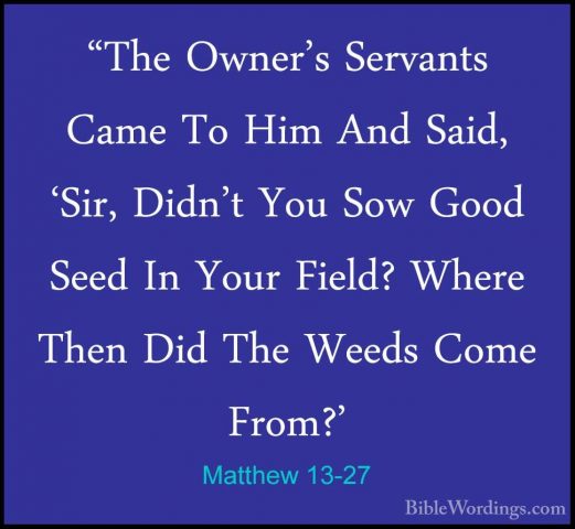 Matthew 13-27 - "The Owner's Servants Came To Him And Said, 'Sir,"The Owner's Servants Came To Him And Said, 'Sir, Didn't You Sow Good Seed In Your Field? Where Then Did The Weeds Come From?' 