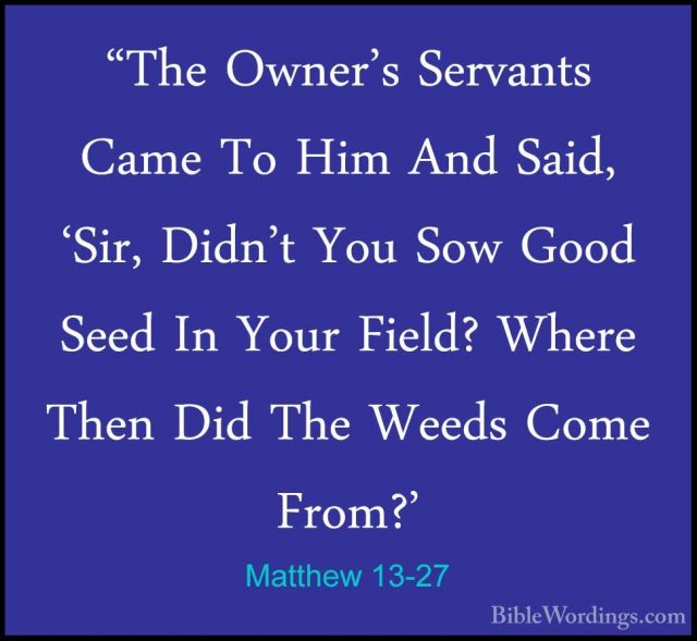 Matthew 13 - Holy Bible English - BibleWordings.com