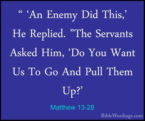Matthew 13-28 - " 'An Enemy Did This,' He Replied. "The Servants" 'An Enemy Did This,' He Replied. "The Servants Asked Him, 'Do You Want Us To Go And Pull Them Up?' 