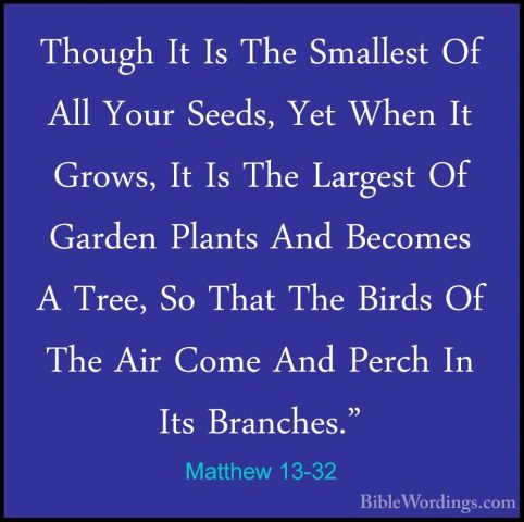 Matthew 13-32 - Though It Is The Smallest Of All Your Seeds, YetThough It Is The Smallest Of All Your Seeds, Yet When It Grows, It Is The Largest Of Garden Plants And Becomes A Tree, So That The Birds Of The Air Come And Perch In Its Branches." 