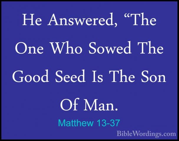 Matthew 13-37 - He Answered, "The One Who Sowed The Good Seed IsHe Answered, "The One Who Sowed The Good Seed Is The Son Of Man. 