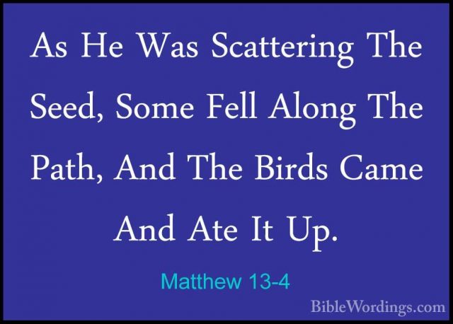 Matthew 13-4 - As He Was Scattering The Seed, Some Fell Along TheAs He Was Scattering The Seed, Some Fell Along The Path, And The Birds Came And Ate It Up. 