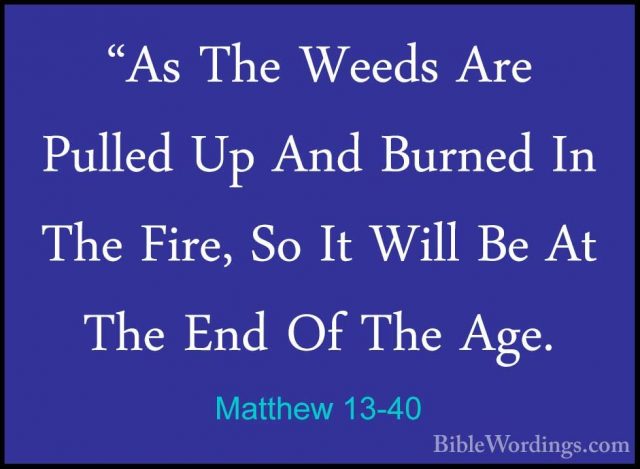 Matthew 13-40 - "As The Weeds Are Pulled Up And Burned In The Fir"As The Weeds Are Pulled Up And Burned In The Fire, So It Will Be At The End Of The Age. 