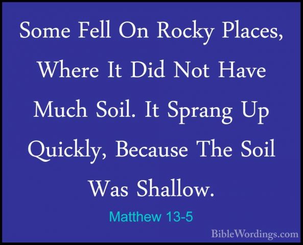 Matthew 13-5 - Some Fell On Rocky Places, Where It Did Not Have MSome Fell On Rocky Places, Where It Did Not Have Much Soil. It Sprang Up Quickly, Because The Soil Was Shallow. 
