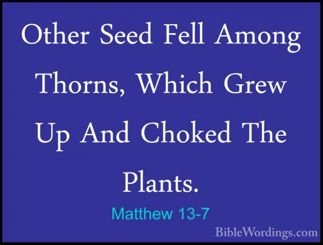 Matthew 13-7 - Other Seed Fell Among Thorns, Which Grew Up And ChOther Seed Fell Among Thorns, Which Grew Up And Choked The Plants. 