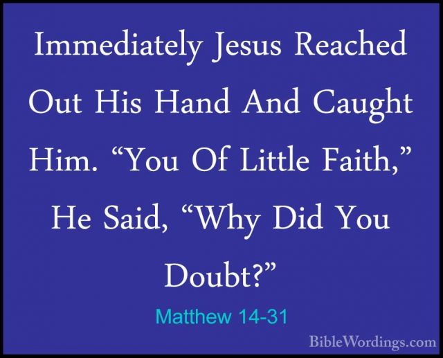 Matthew 14 - Holy Bible English - BibleWordings.com