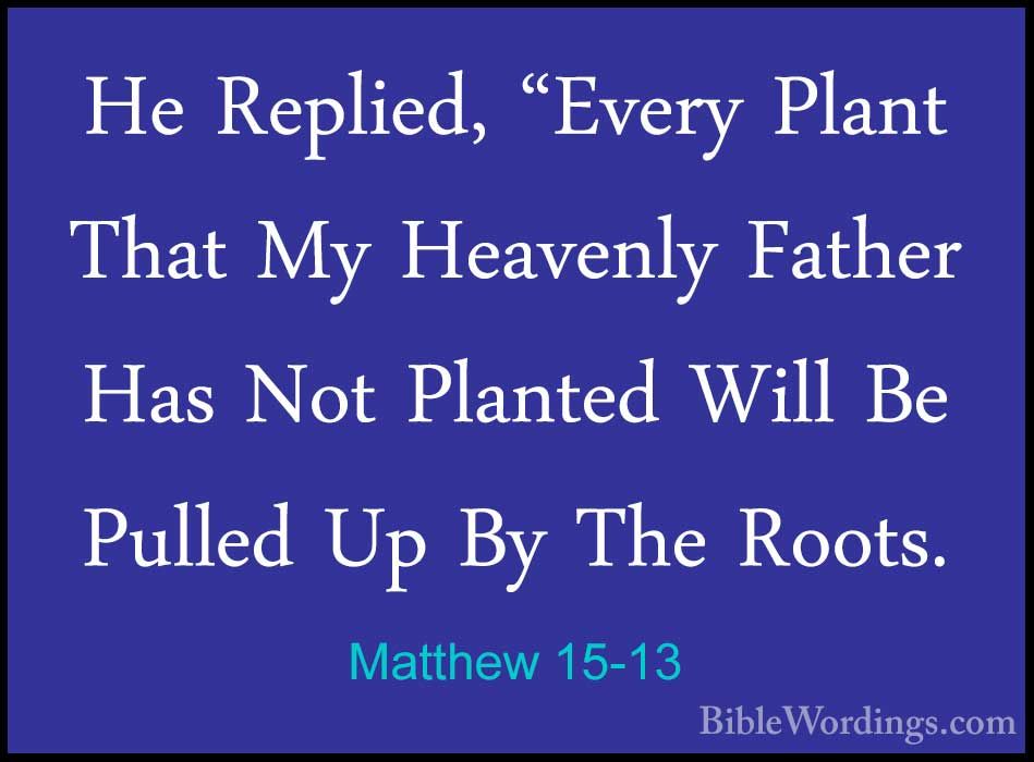 Matthew 15:13 He replied, “Every plant that my heavenly Father has