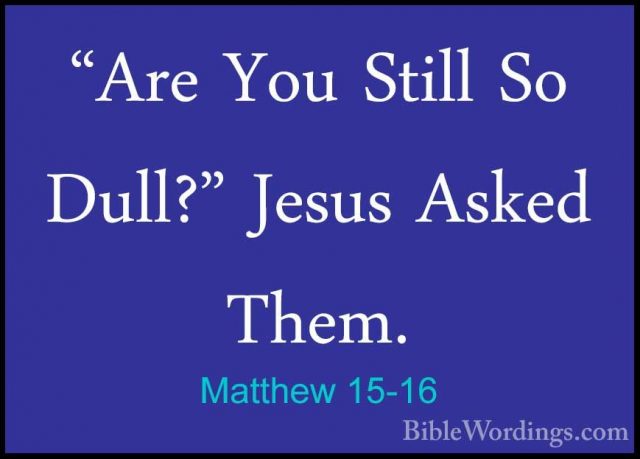 Matthew 15-16 - "Are You Still So Dull?" Jesus Asked Them."Are You Still So Dull?" Jesus Asked Them. 